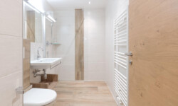 Wohnung 4 – Asitz 3